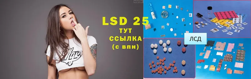 кракен сайт  продажа наркотиков  Камбарка  LSD-25 экстази кислота 