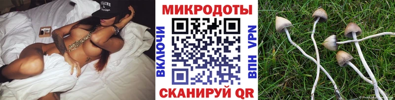 Псилоцибиновые грибы мухоморы  как найти   Камбарка 